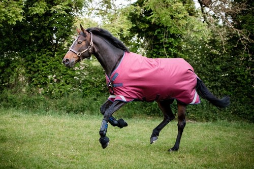 Abverkauf horseware rambo - abverkauf!!,