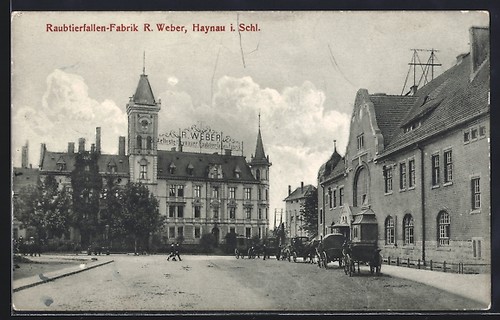 Ansichtskarte haynau schl - ansichtskarte,