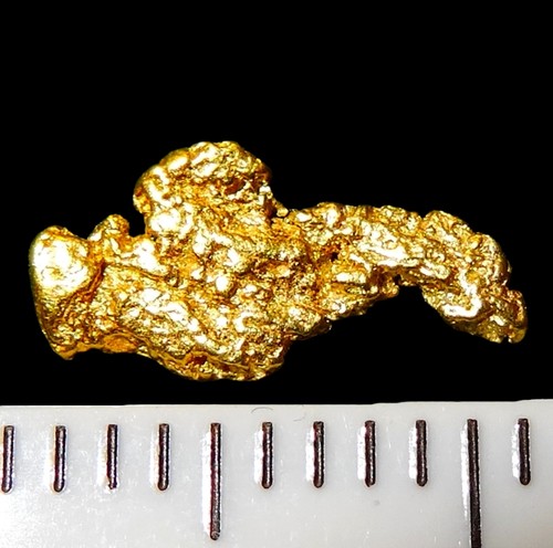 Xxl goldnugget 7 - xxl,