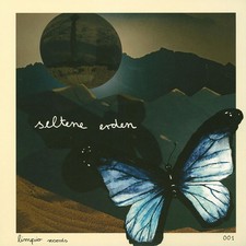 V.A. - Seltene Erden (Vinyl