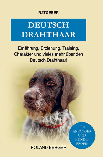 Deutsch drahthaar roland - deutsch,