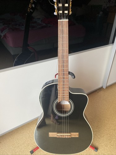 Takamine series - takamine,