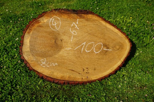Baumscheibe holzscheibe - baumscheibe,