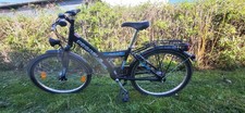Trekking Bike, Pegasus, 24