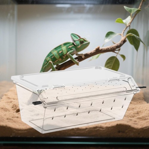 Reptilien zuchtbox tragbar - reptilien-zuchtbox,,