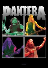 Pantera- Band Posterfahne