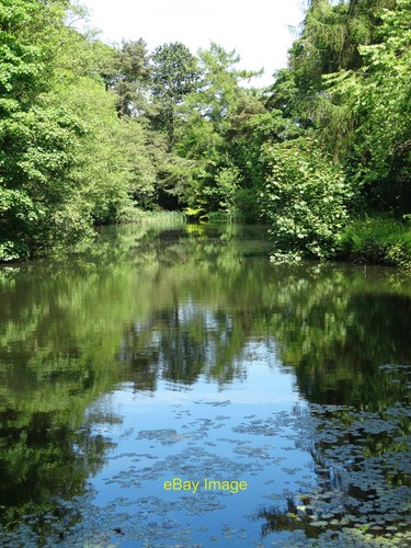 Foto 12x8 brookfield pond - 12x8,