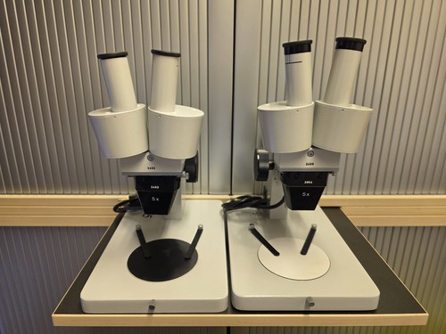 Will wetzlar stereomikroskop - will,