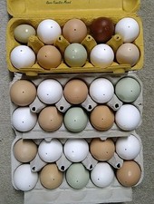 30 ausgeblasene echte Eier Hühnereier Bunt 