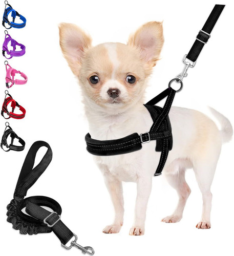 Kleines hundegeschirr leine - kleines, &
