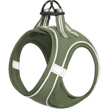 Hundegeschirr für kleine
