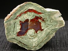 LITOPHYSE - ESTEREL, VAR