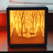 CIM 3D Papercut Lightbox