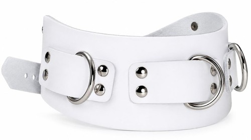 Lederhalsband anatomisches