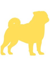 2X XXL Pug Dogs Car Stickers