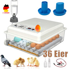 Inkubator Brutkasten