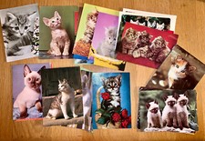 37 Ansichtskarten "Katzen" /