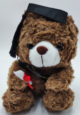 Plüschtier Teddybär Diplom