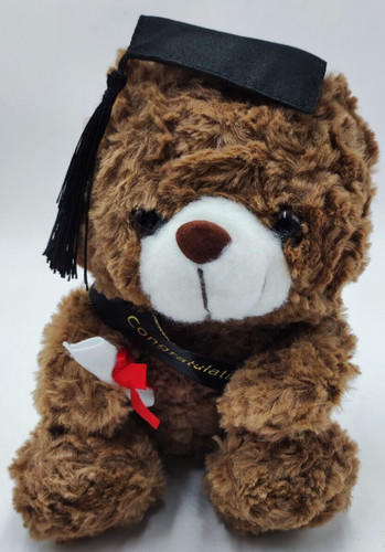 Plüschtier teddybär diplom - plüschtier,
