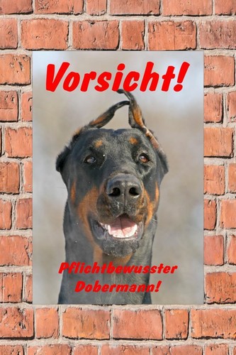 Schild hund vorsicht - schild,