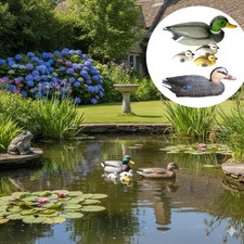 SONDERPOSTEN XL Enten Familie