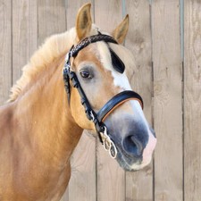 Fahrzaum/Kopfstück ohne