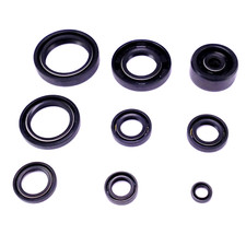 Motor Simmering Satz für