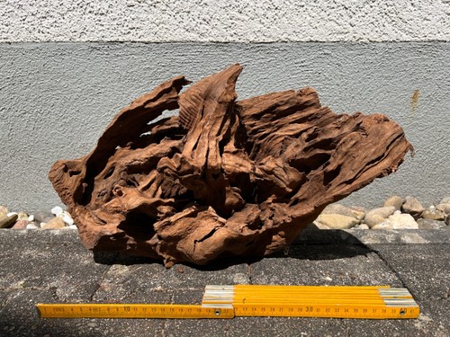 Mangroven holz wurzel - mangroven,