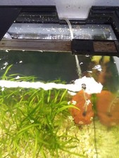 Aquatlantis Aquarium 120 L mit LED-Beleuchtung, Filter, Heizung, Unterschrank