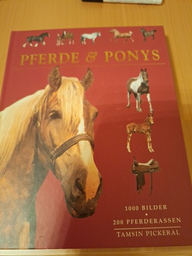 Pferde ponys - pferde, &