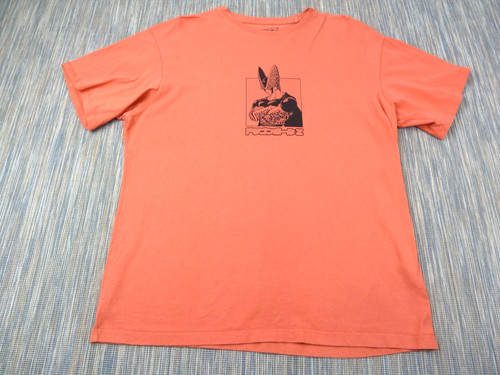 Pull bear dragon ball - bear,