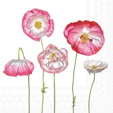 Servietten Lunch 33x33cm 3-Lagig 20 Stück Mohnblumen Napkin 33 Pale poppies