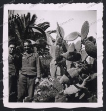 Agrigento-dintorni-Sizilien-Lu