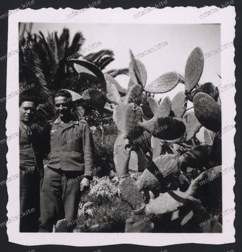 Agrigento-dintorni-Sizilien-Lu