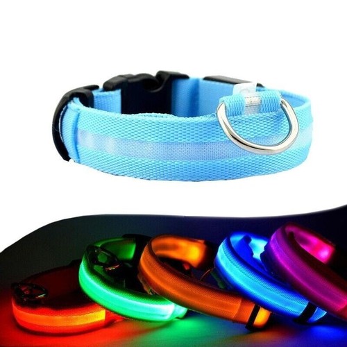 Hunde leuchthalsband led - hunde,
