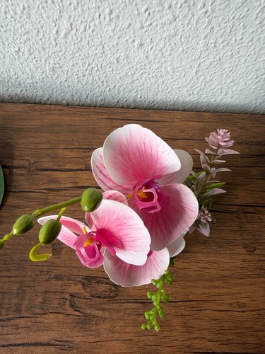 Kunstpflanze orchidee - kunstpflanze, im