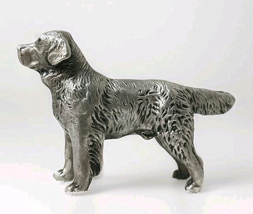 Golden retriever jagdhund - golden,