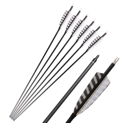12x 32zoll carbonpfeile - 6/12x,