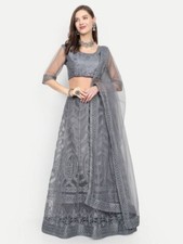 Grau Lehenga Choli Bollywood