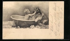 Ansichtskarte Baby in Badewanne mit Bernhardiner 