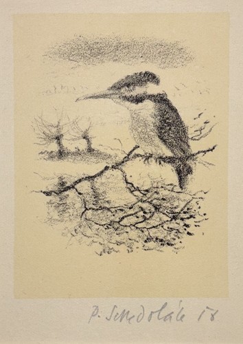 Pavel sukdolak exlibris - pavel,