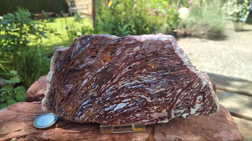 Schöner moss chalcedon - ,
