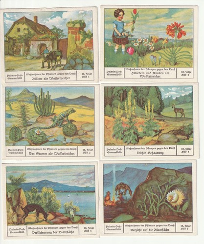 Palmin post maßnahmen der - palmin-post:,