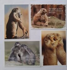 Ansichtskarten Präriehunde