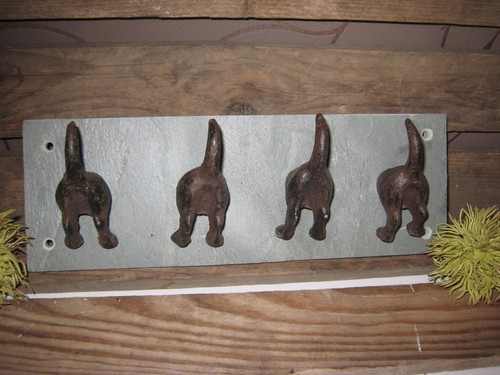 Hunde-Garderobe