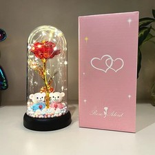 Eternal Rose in Glass LED