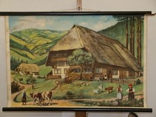Schwarzwald bauernhof - schwarzwald,