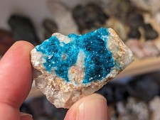 Schöne 4cm KS Dioptas flaschengrün Namibia