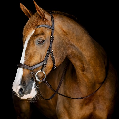 Horseware micklem wettkampf - horseware,