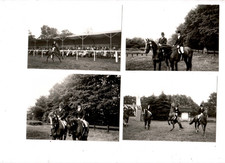 9345- 4x Photos * Tournament